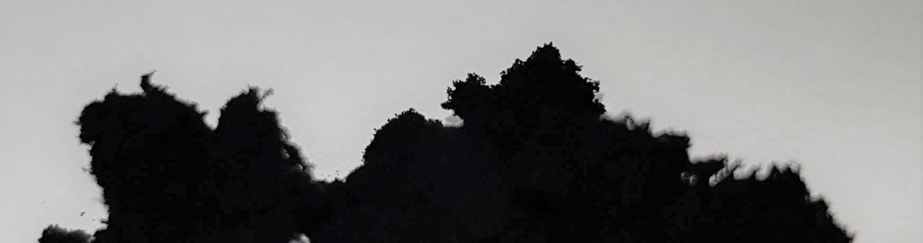 Dynamic Content Image