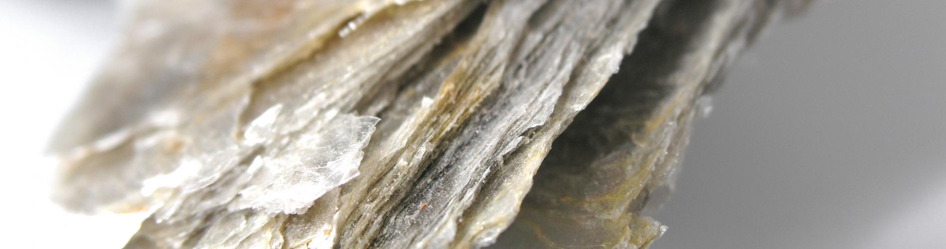 Dynamic Content Image